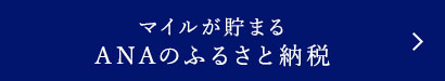 マイルが貯まる